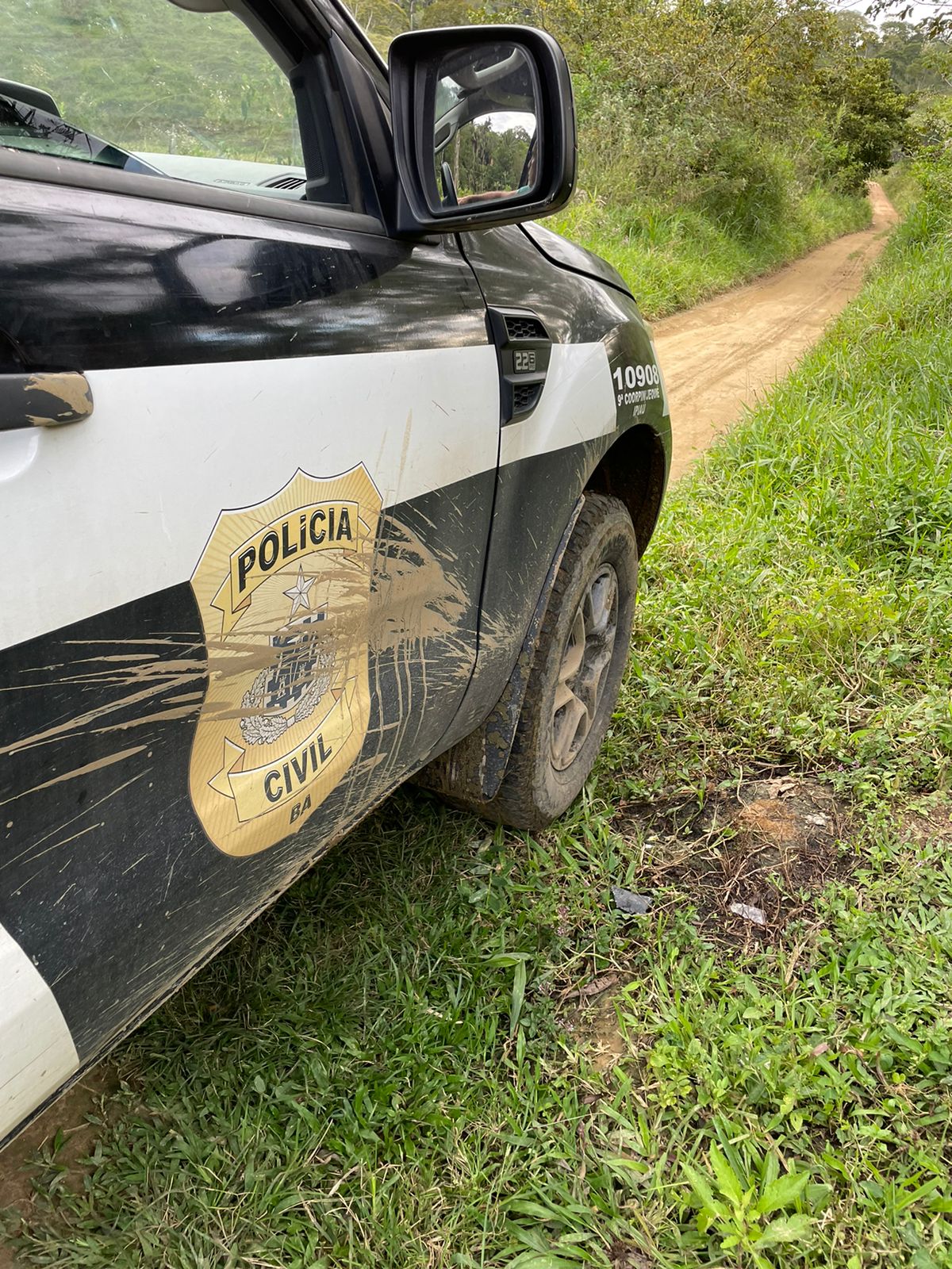 Em Ipiaú Polícia Civil Identifica Homem Que Furtou Boi Abateu E Dividiu A Carne Entre 